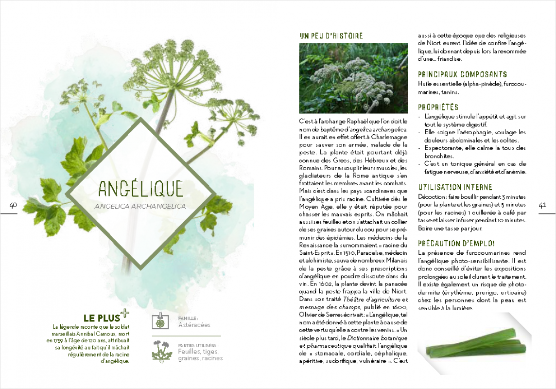 Guide des plantes médicinales