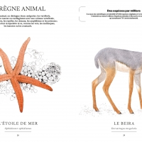 Ces animaux qui nous protègent
