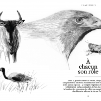 Ces animaux qui nous protègent