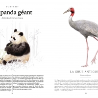Ces animaux qui nous protègent