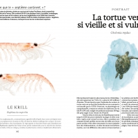 Ces animaux qui nous protègent