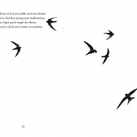 Les Turbulents