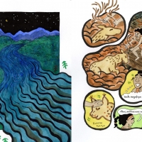 Entre fleuve et forêt