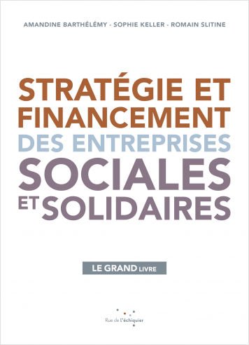 Stratégie et financement des entreprises sociales et solidaires