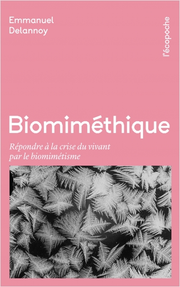 Biomiméthique