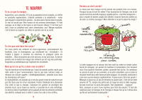 Mission Permaculture 